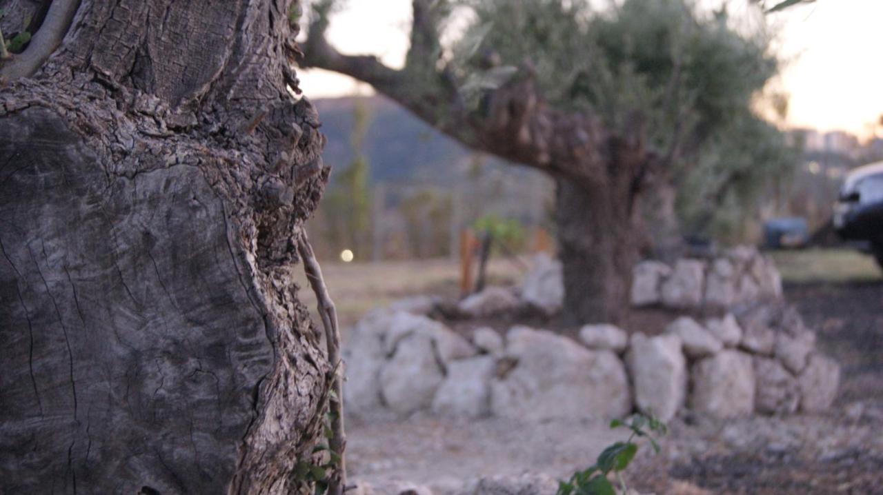 B&B Eyexei Domus Agrigento Eksteriør bilde